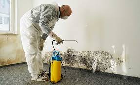 Why You Should Choose Our Mold Remediation Services in (206) 803-13630